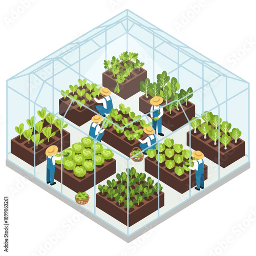 Farmers Tending Plants in Greenhouse.