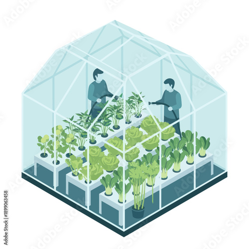 Two People Working in Greenhouse with Plants.