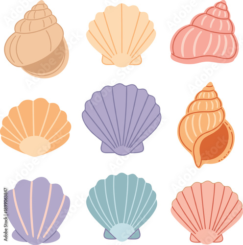 Collection of pastel colored tropical seashells with grainy texture for summer beach wedding invitations and nautical home decor