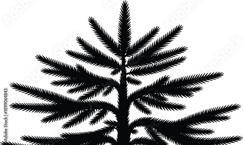 Black silhouette of a pine tree with detailed branches and needles