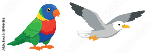 Cute cartoon vector bird set featuring a colorful parrot and a flying seagull for nature or pet-themed designs