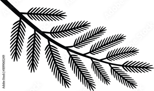 Black silhouette of a pine tree branch with detailed needles