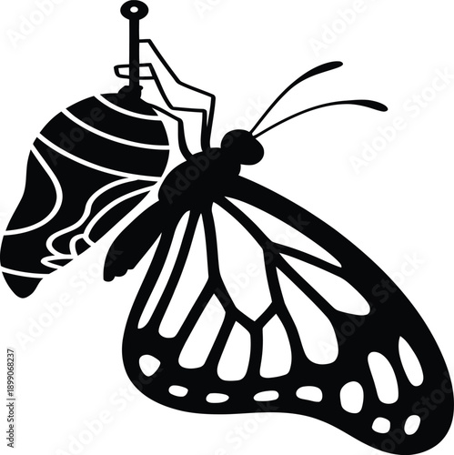 Black silhouette of a butterfly emerging from a cocoon