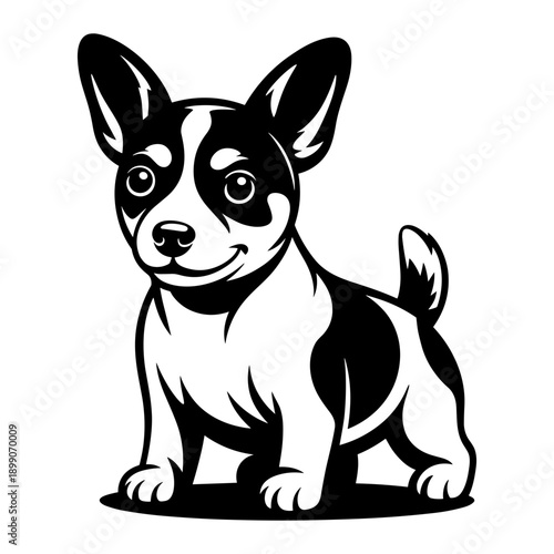 Toy Fox Terrier