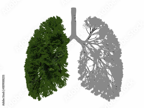 A conceptual illustration of healthy and unhealthy lungs shaped like trees
