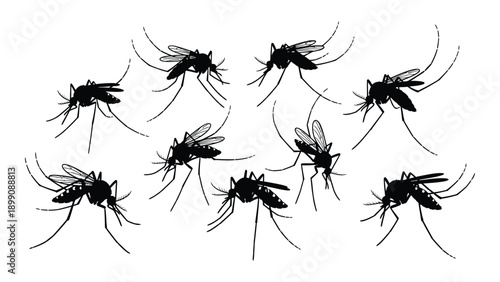 A group of mosquitoes flying together in a swarm formation Vector