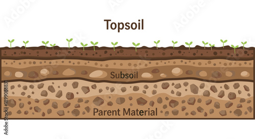 Cross Section Diagram of Soil Horizons with Topsoil Subsoil and Parent Material Layers Showing Small Green Sprouts and Earthy Brown Tones in Educational Style