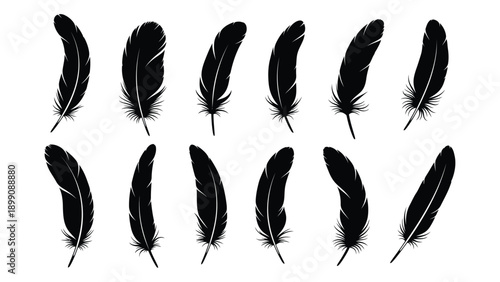 A collection of twelve black feathers arranged in a grid pattern. Vector