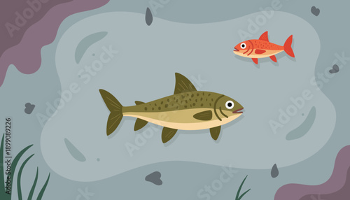 Cartoon fish swimming in a pond with rocky bottom and plants  