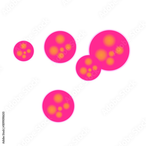Meningitidis bacteria