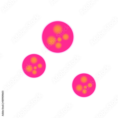 Meningitidis bacteria