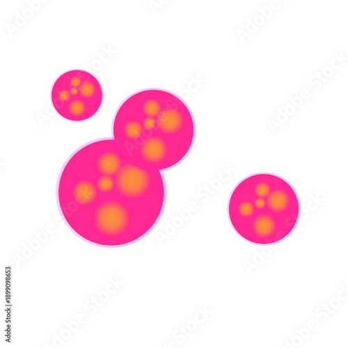 Meningitidis bacteria