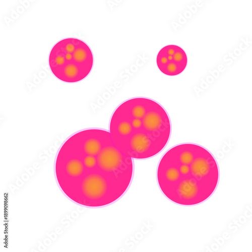 Meningitidis bacteria