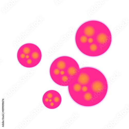 Meningitidis bacteria