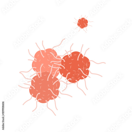 Cancer cell vector