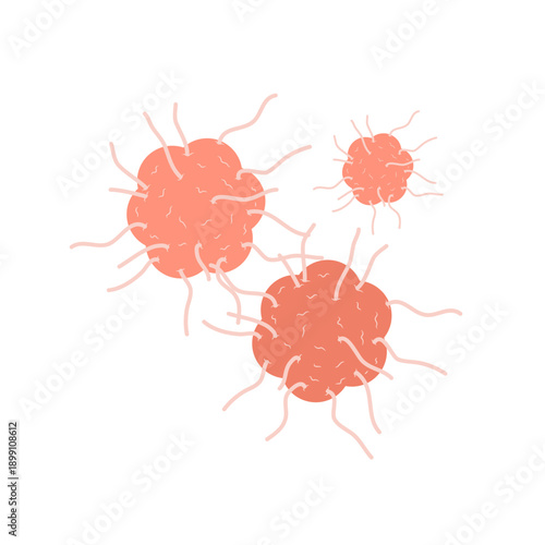 Cancer cell vector