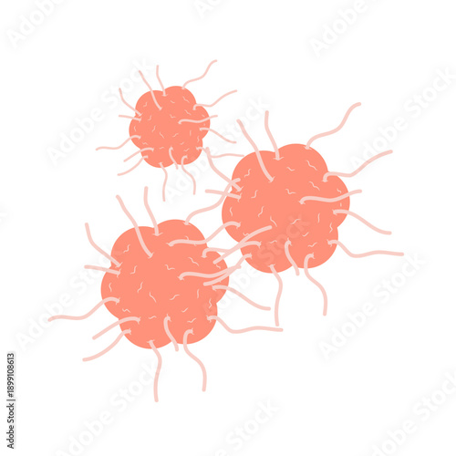 Cancer cell vector
