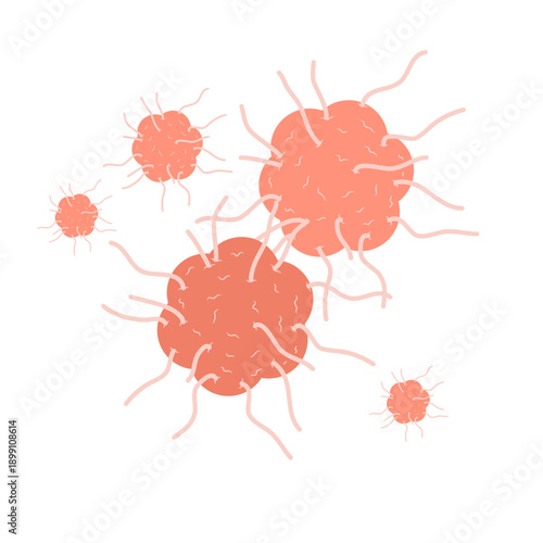 Cancer cell vector