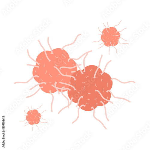 Cancer cell vector
