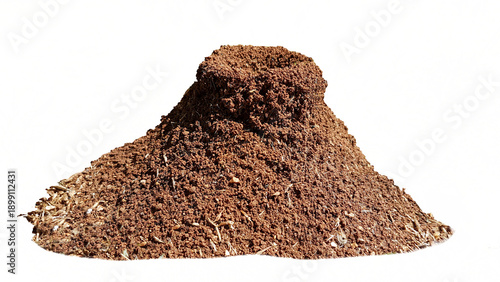 Photos nest home ant ants house of soil isolated for background