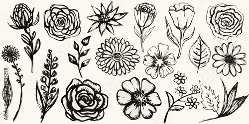 A collection of delicate hand drawn floral illustrations in black and white