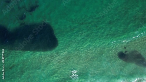 Wallpaper Mural Bird's Eye View Of Bait Balls And Sharks In Turquoise Sea, NSW, Australia - Drone Shot Torontodigital.ca