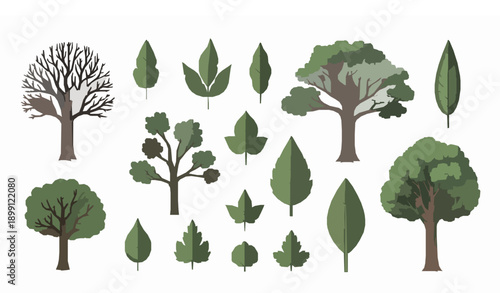 Nature tree and leaf vector collection with hand-drawn botanical elements and lush foliage