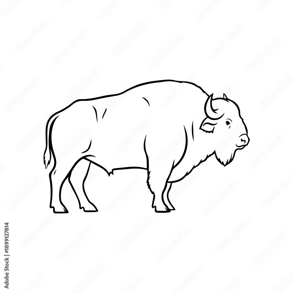 Obraz premium Simple line drawing of a bison standing profile, outdoors, vector illustration