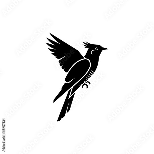 A black bird in flight, wings spread, soaring through the air