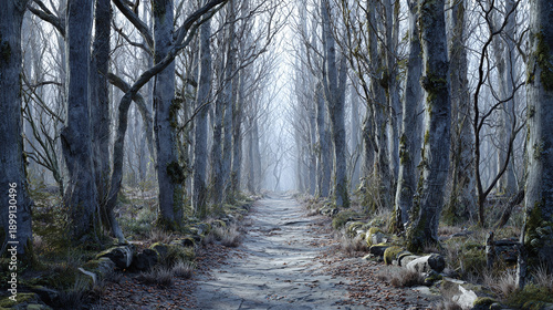 A scenic forest trail with bare trees, creating a moody, atmospheric perspective. The pathway is leading into the distance, shrouded in mist