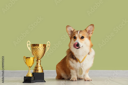 Cute Corgi dog with gold cu...