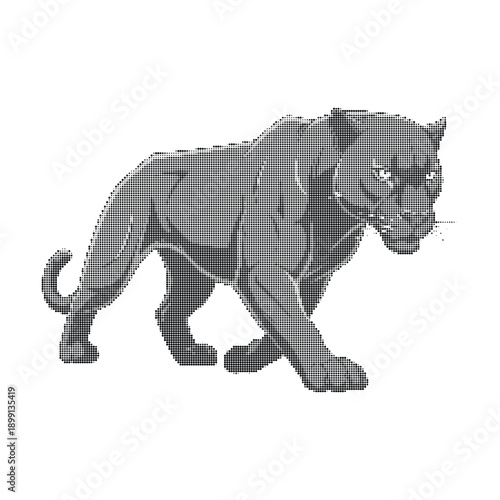 Gray Panther Vector Illustration, Black Cat Mascot, Wild Animal Graphic, isolated on white