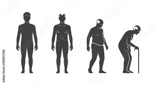 Human body aging process silhouette stages from young to old.