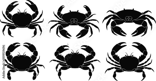 Black crab silhouette collection featuring multiple crab poses, marine sea animal vector illustrations, detailed crustacean shapes, ocean wildlife design elements isolated on white background