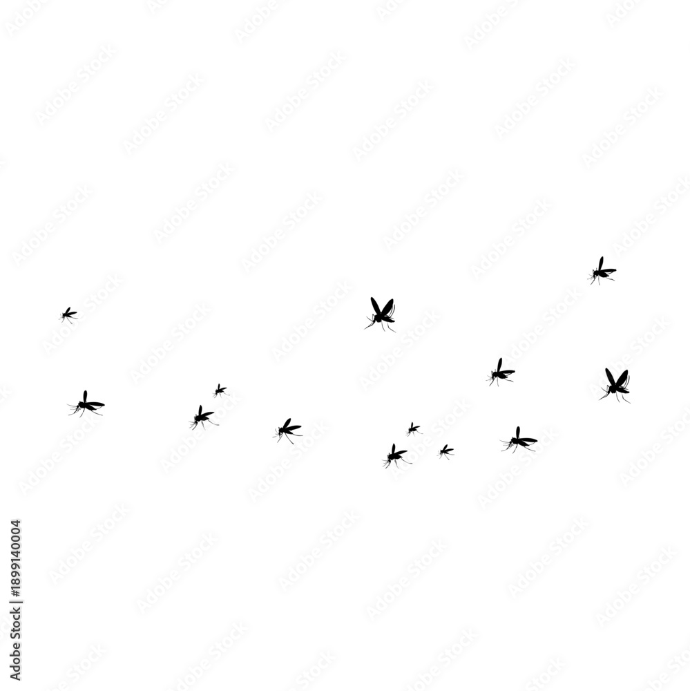 Fototapeta premium Flying mosquito vector