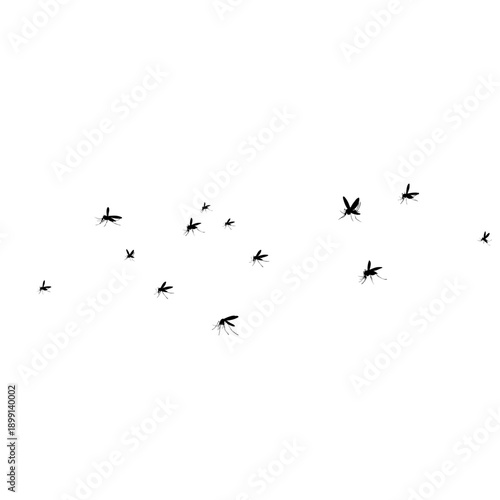 Flying mosquito vector