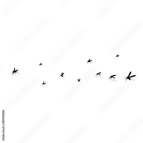 Flying mosquito vector