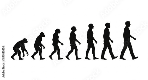 Human Evolution Silhouette Progression From Ape To Man.