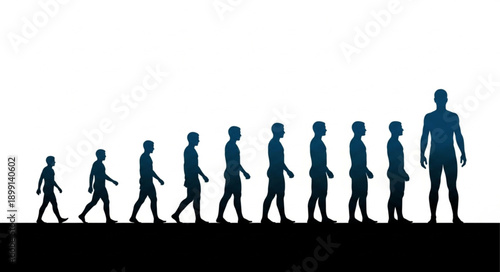 Human Evolution Silhouette Progression From Small Child To Adult Man.
