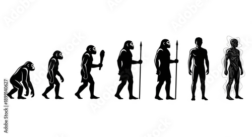 Human Evolution Silhouette Series From Ape To Modern Man.