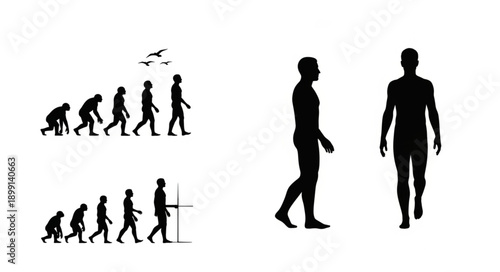 Human Evolution Stages and Modern Man Silhouettes.