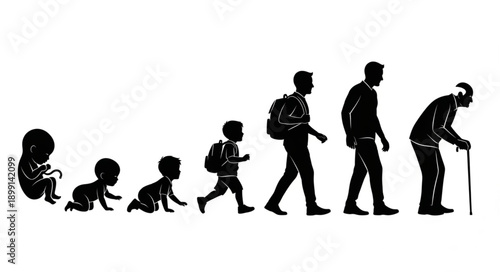 Human life cycle evolution from fetus to elderly person silhouette.