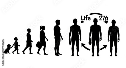 Human Life Cycle Evolution Stages Silhouette.