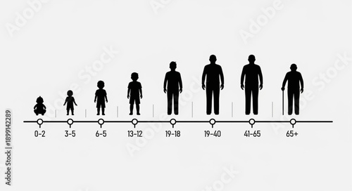 Human growth stages from infancy to old age depicted as silhouettes.