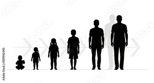 Human growth stages silhouette progression from baby to adult.