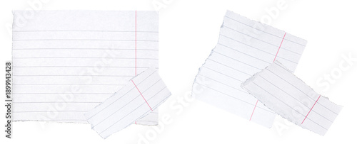 фотографія collection of torn and ripped lined paper sheets, some with binding holes, arranged on a transparent background, close-up view