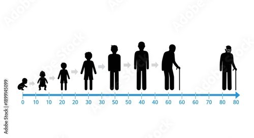 Human life cycle progression from infancy to old age depicted as silhouettes.