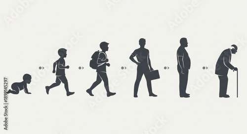 Human life cycle progression from infancy to old age.