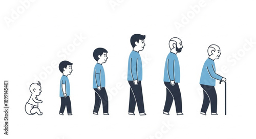Human life cycle progression from baby to elderly man.