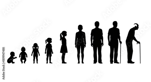 Human life cycle stages depicted as silhouettes.